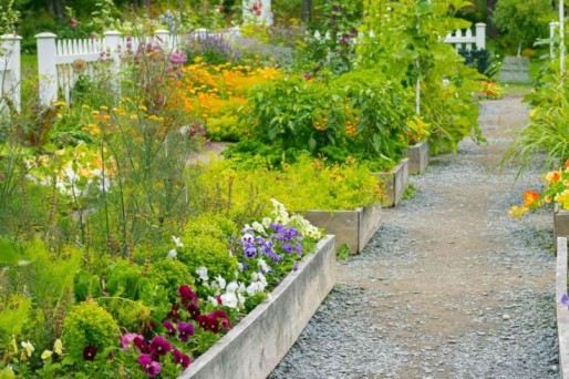 The Ultimate Guide to Planting Garden Ideas