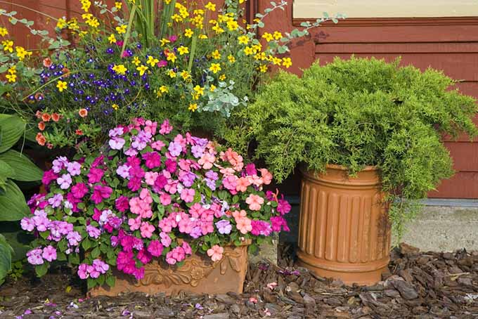 The Ultimate Guide To Installing Terracotta Pots For Trees
