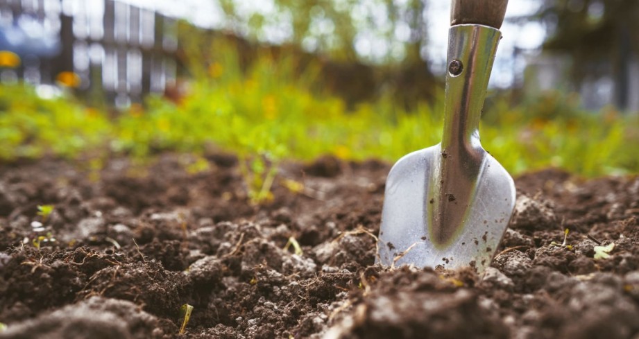 A Beginner's Guide to Spring Gardening 2023