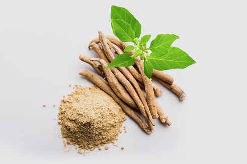 What to Know About Ashwagandha and its Potentially Stress-Reducing Benefits